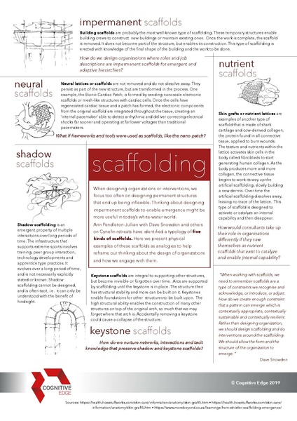 File:CognitiveEdge Scaffolding.pdf